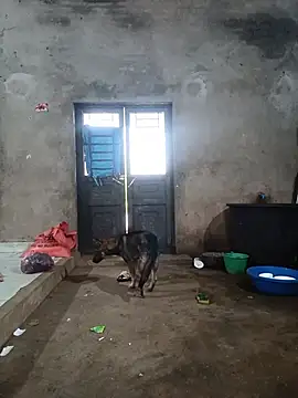 Linda-yiyi live cam preview