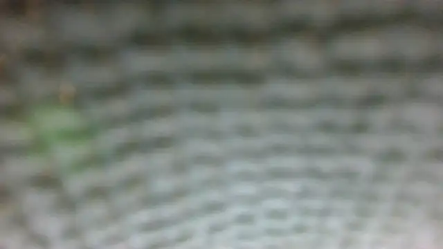 hunzi123's live room