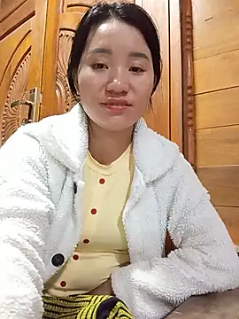 Td3di webcam