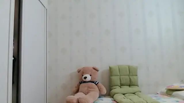 coco-LL webcam