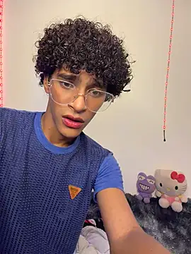 Evans_Femb webcam