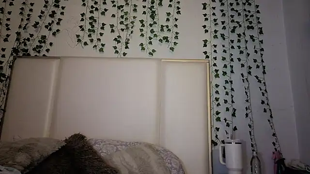 megaaann webcam