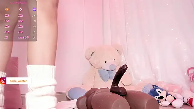 Alice_winter_ webcam