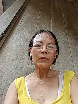 toyo_668 webcam