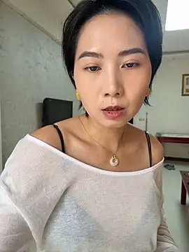 su456711 webcam