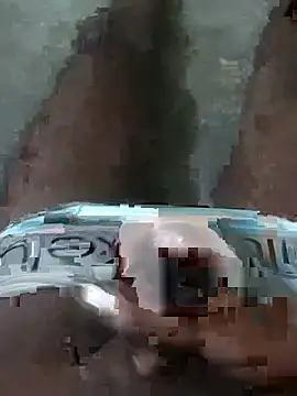 deshighoda1