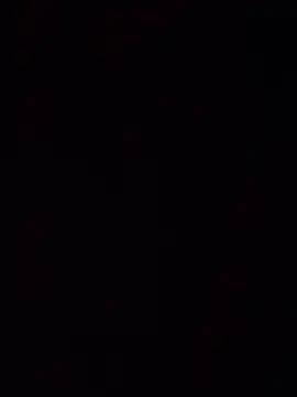 lermaalburu webcam
