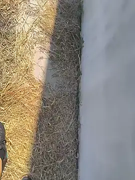 szy4418 webcam