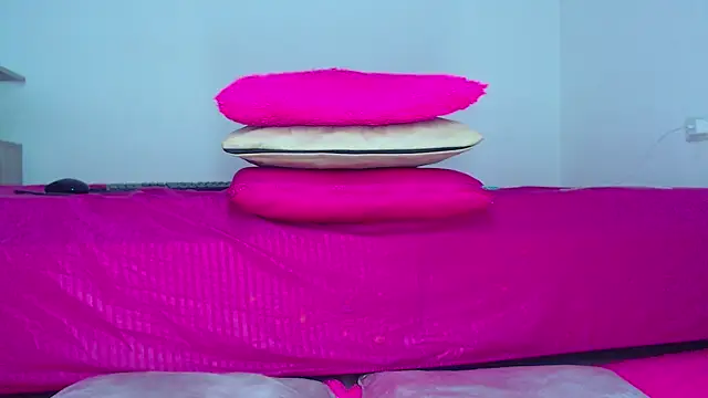 Milytylor webcam
