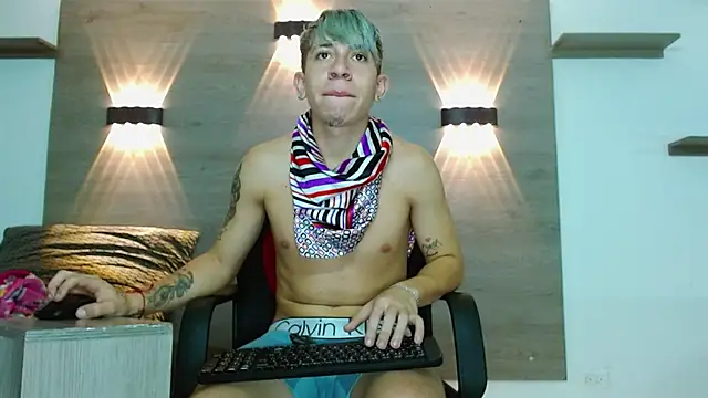 Gaeliitto webcam