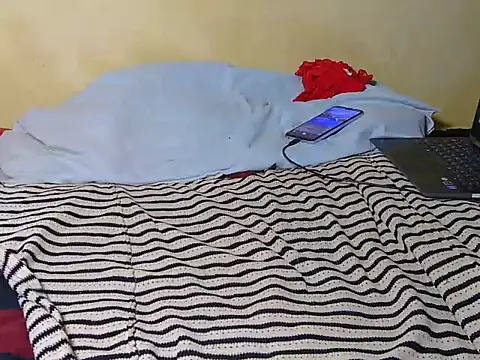 Mobisa webcam