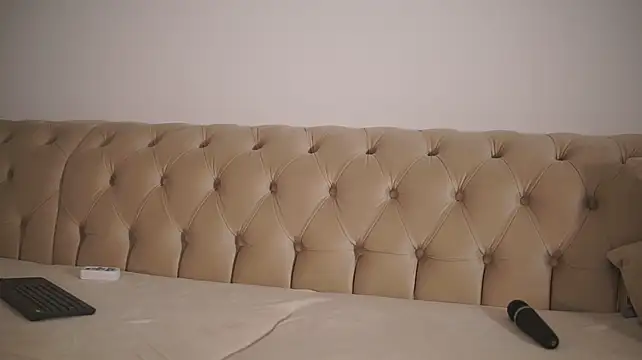 GiaInked webcam