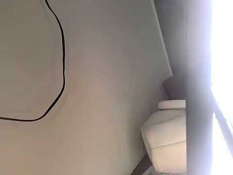 DESI_Siya webcam