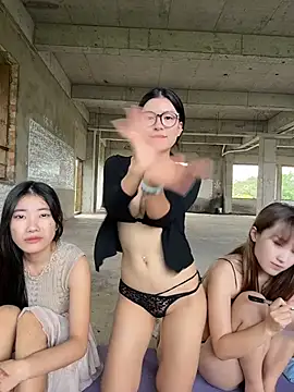 MS-520 webcam
