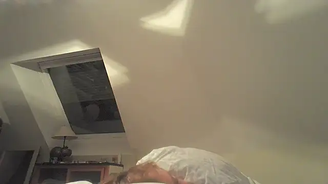 3615_ULLA webcam
