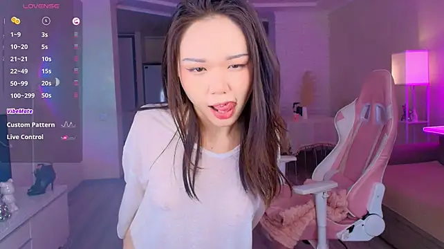 Petitekaya webcam