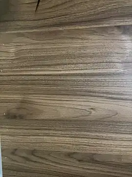 Lara_petit