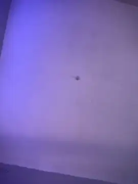 SP1CY_MOMMY webcam