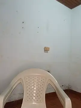 knox_zeque webcam