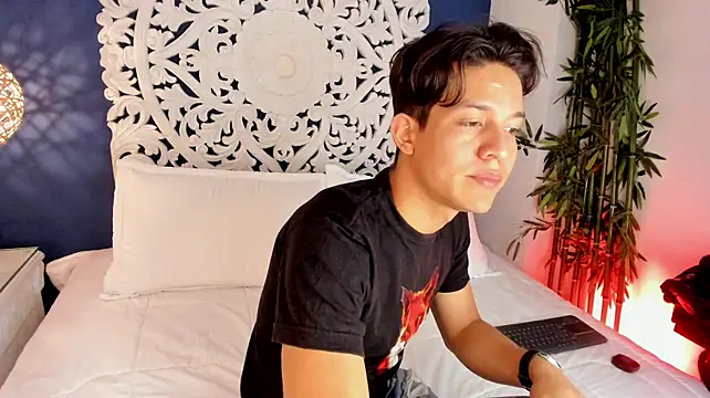LevinFox webcam