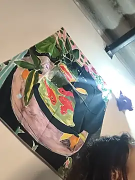 Valuysarauwu webcam