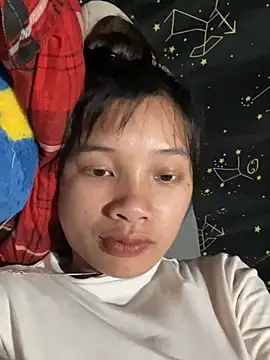 Xiuxiu-zz webcam