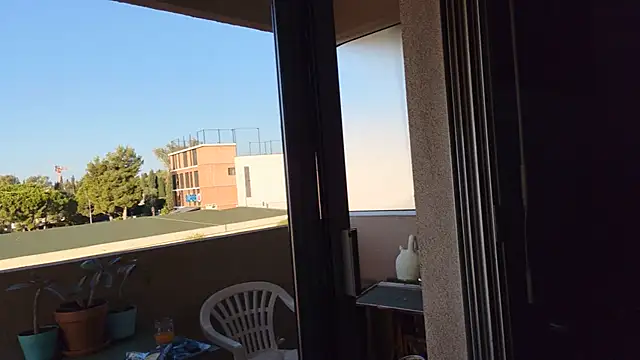 panda_06200 webcam