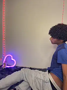Evans_Femb webcam