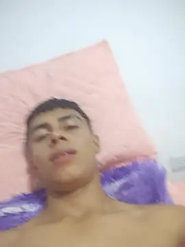 Bruno_fox