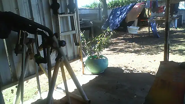 herbie010666 webcam