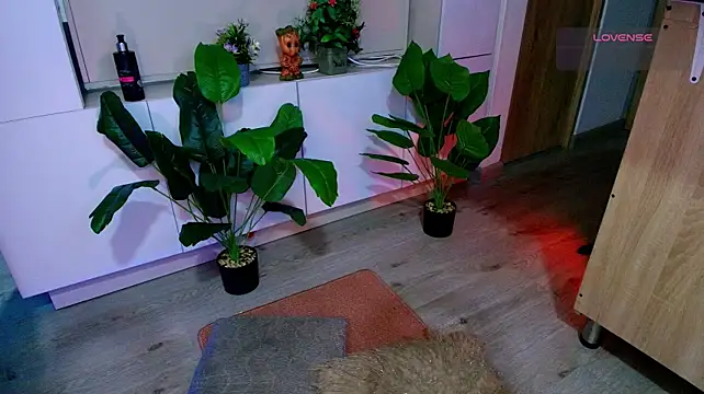Neytiri_Ss webcam