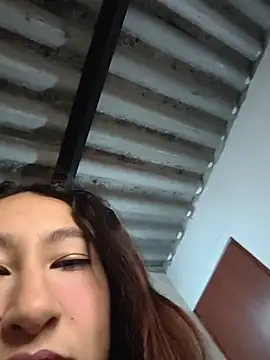Valuysarauwu webcam