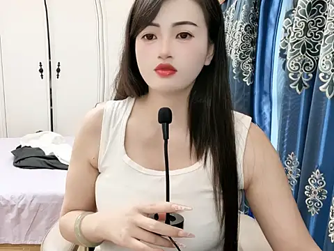 sjsibi webcam