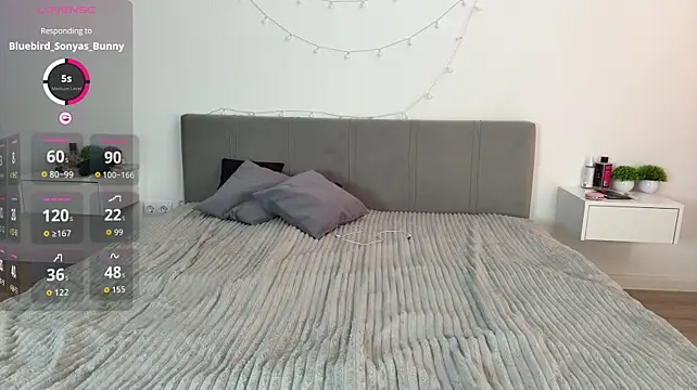 meowchaa webcam