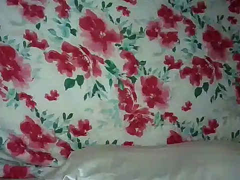 siema7 webcam