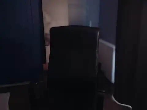 StraightForBi29 webcam
