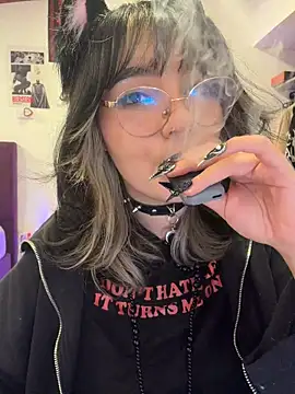 Poisonissa webcam