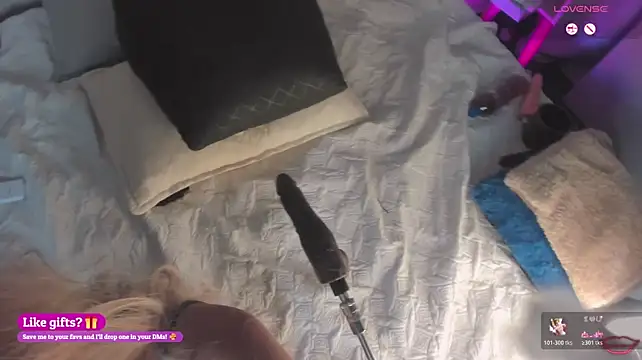 Heicy_ webcam
