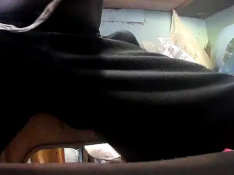 Precumking1 webcam