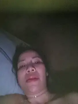 hsy-56 webcam