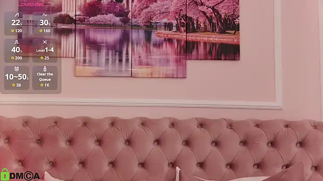 MayaSpringX webcam
