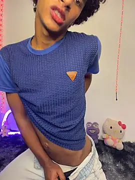 Evans_Femb webcam