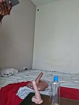 Kamdollie webcam