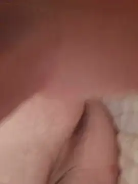 stella038