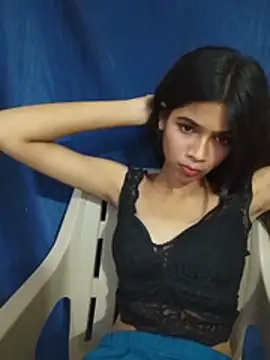 HIE-JANVI webcam