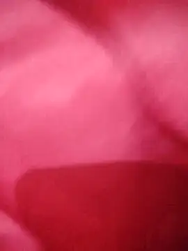 -Tara-a