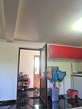 Diana_Diafan webcam
