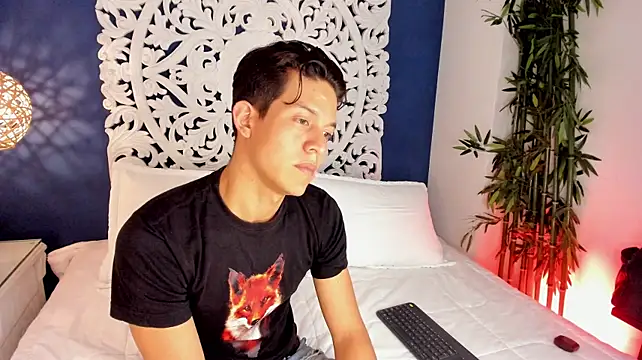 LevinFox webcam