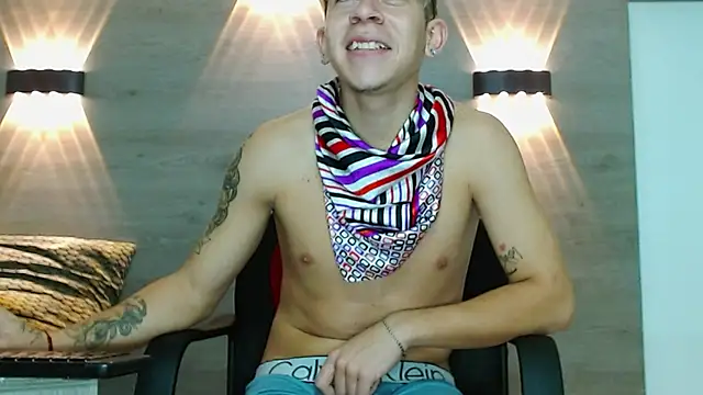 Gaeliitto webcam