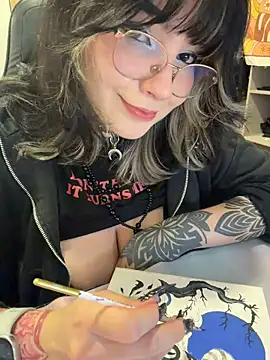 Poisonissa webcam